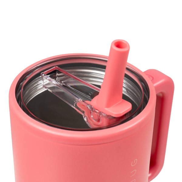 Salmon - Traveler (20oz) 9i